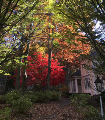 fallcolors18.jpg