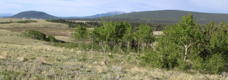 Rancho del Oso Pardo