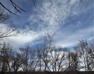 Skyward from the River