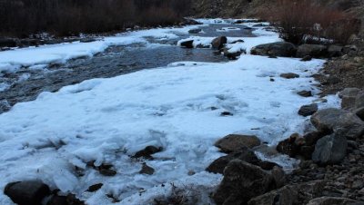 Clear Creek Plays with Winter