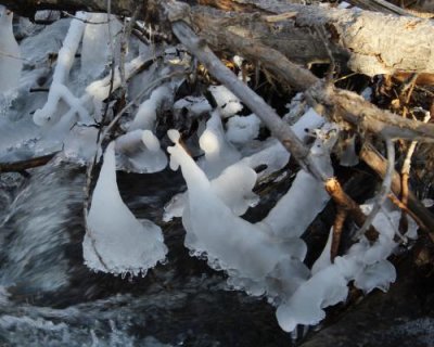 Ice Bangles in Cherry Creek