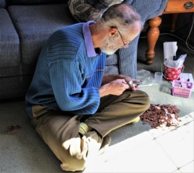 Randy, Sorting Pennies