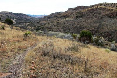 Davis Mountains State Park