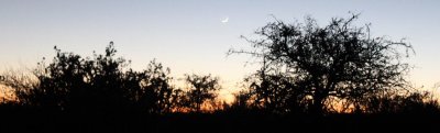 Sunset, with Moon