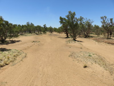 Alice Springs Todd river
