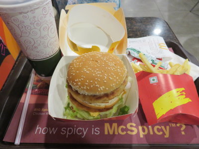 New Delhi McDonalds maharaja mac