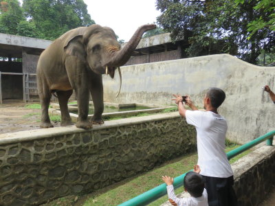 Jakarta zoo