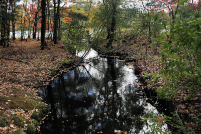 Needham Reservoir Trail
