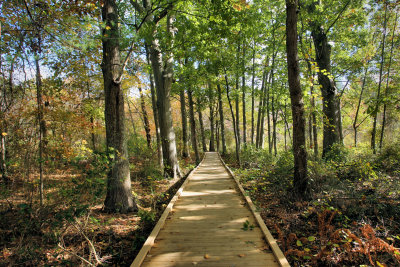 Needham Reservoir Trail