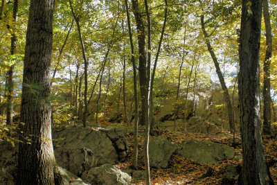 Highrock Needham, Ma.