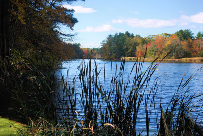 Sudbury, Ma.