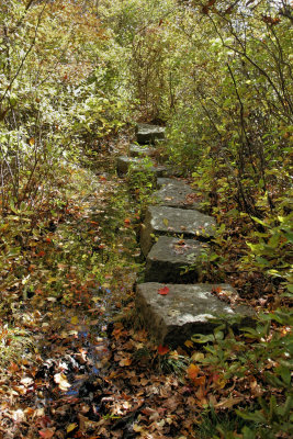 Hale Reservation Westwood, Ma.