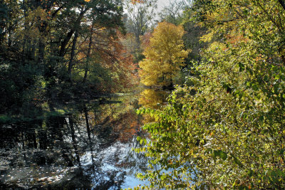 Needham, Ma.