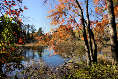 Needham, Ma.
