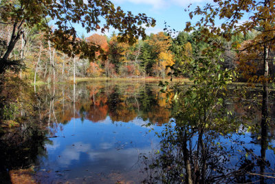 Needham, Ma.