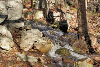 Mt. Wilson, Dedham, Ma.