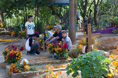 _MG_1892 copy 2.jpg