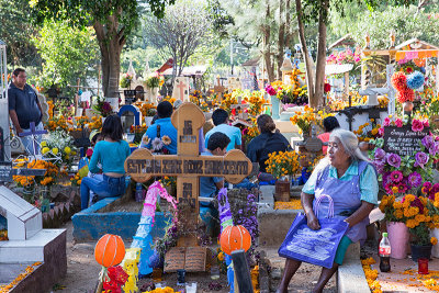 _MG_1895 copy 2.jpg