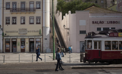 Salo Lisboa