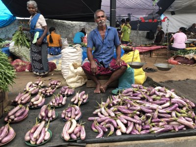 Eggplant vendor