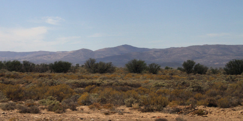 On the road in Tankwa Karoo