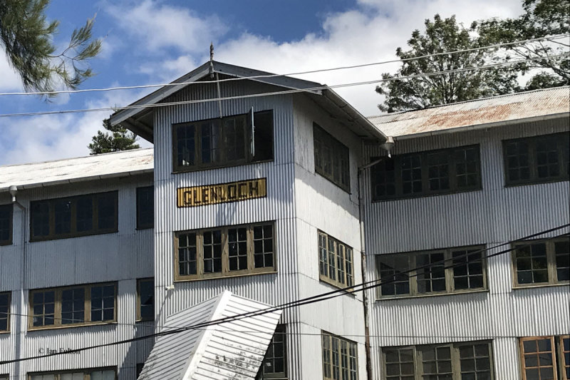 The tea processing factory