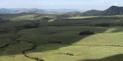 The wide open grasslands near Wakkerstroom