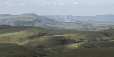 The wide open grasslands near Wakkerstroom