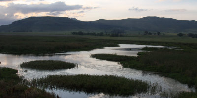 The marsh and ponds at Wakkerstroom