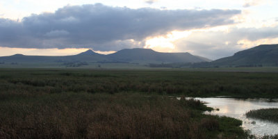 The marsh and ponds at Wakkerstroom