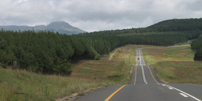 On the long road from Wakkerstroom to Kruger