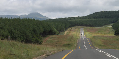 On the long road from Wakkerstroom to Kruger