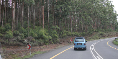 On the long road from Wakkerstroom to Kruger