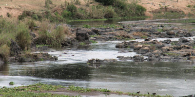 The river at the Crocodile Bridge, Kruger NP