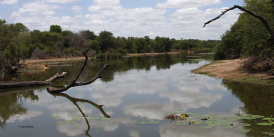 The Sabie River, Kruger NP