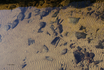Underwater sand ripples