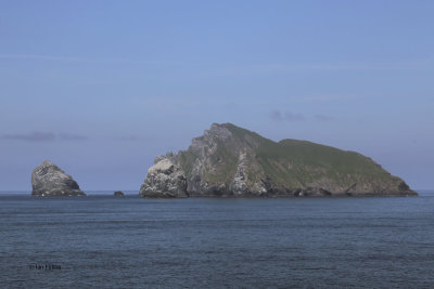 Boreray and the stacs from above the tunnel