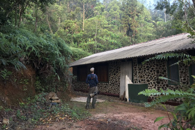 Birding by the field station at Sinharaja NP