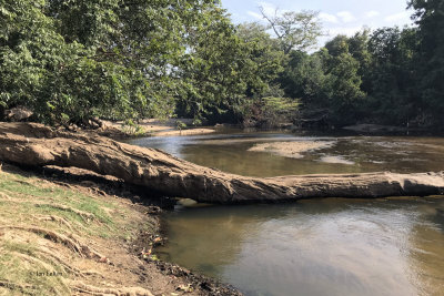 River in Yala NP