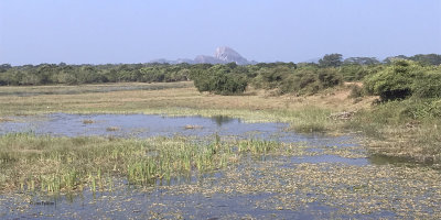 A pond in Yala NP