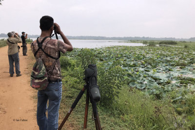 Birding one of the ponds at Tissamaharama