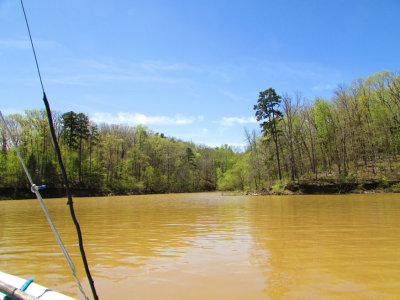 lake4-17IMG_2680.jpg