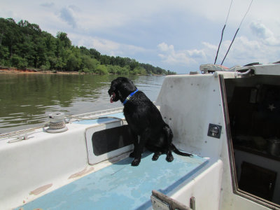 dog-lake6-17IMG_2848.jpg