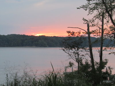 IMG_2940.JPG