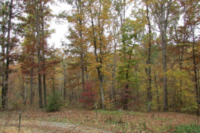 cove10-17IMG_3038.jpg
