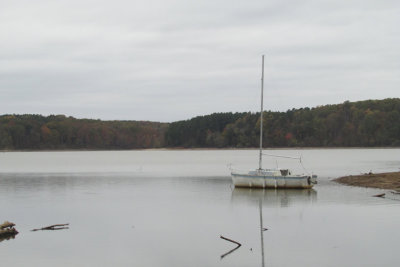cove10-17IMG_3042.jpg