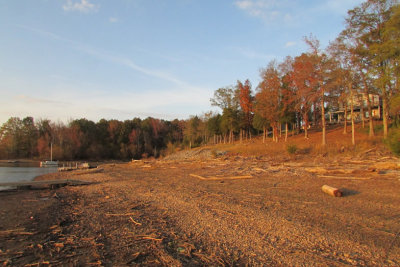 cove10-17IMG_3056.jpg