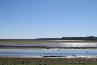 cove11-17IMG_3024.jpg