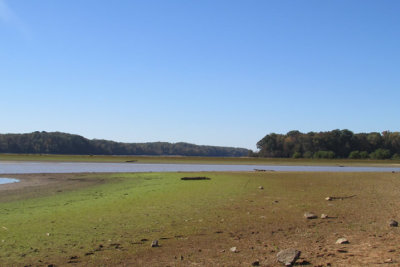 cove11-17IMG_3026.jpg
