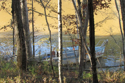 goldrun11-18IMG_3707.jpg